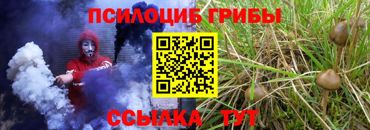 Псилоцибиновые грибы мухоморы  Вход с VPN  Тейково 